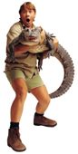  Steve Holding a Crocodile